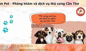 Chợ Tốt Thú Cưng Cần Thơ