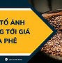 Giá Cà Phê Di Linh Lâm Đồng Hôm Nay