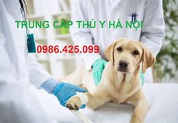 Học Sơ Cấp Thú Y