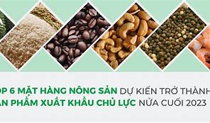 Mặt Hàng Nông Sản Xuất Khẩu Chủ Lực Của Vùng