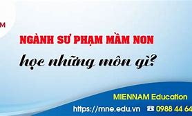 Ngành Sư Phạm Mầm Non Học Những Môn Gì