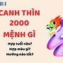 Sinh Năm 2000 Sao Gì 2024 Nữ