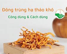 Tác Dụng Của Đông Trùng Hạ Thảo