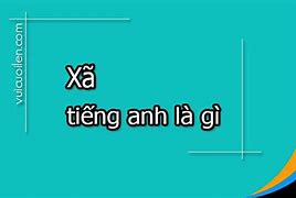 Texgamex Xkld Là Gì Ạ Tiếng Anh Là Gi ؟